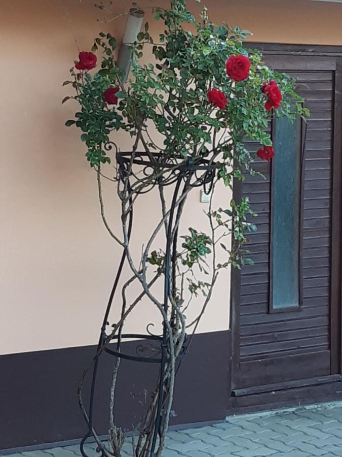 Herkules Apartman Zalakaros Exteriér fotografie